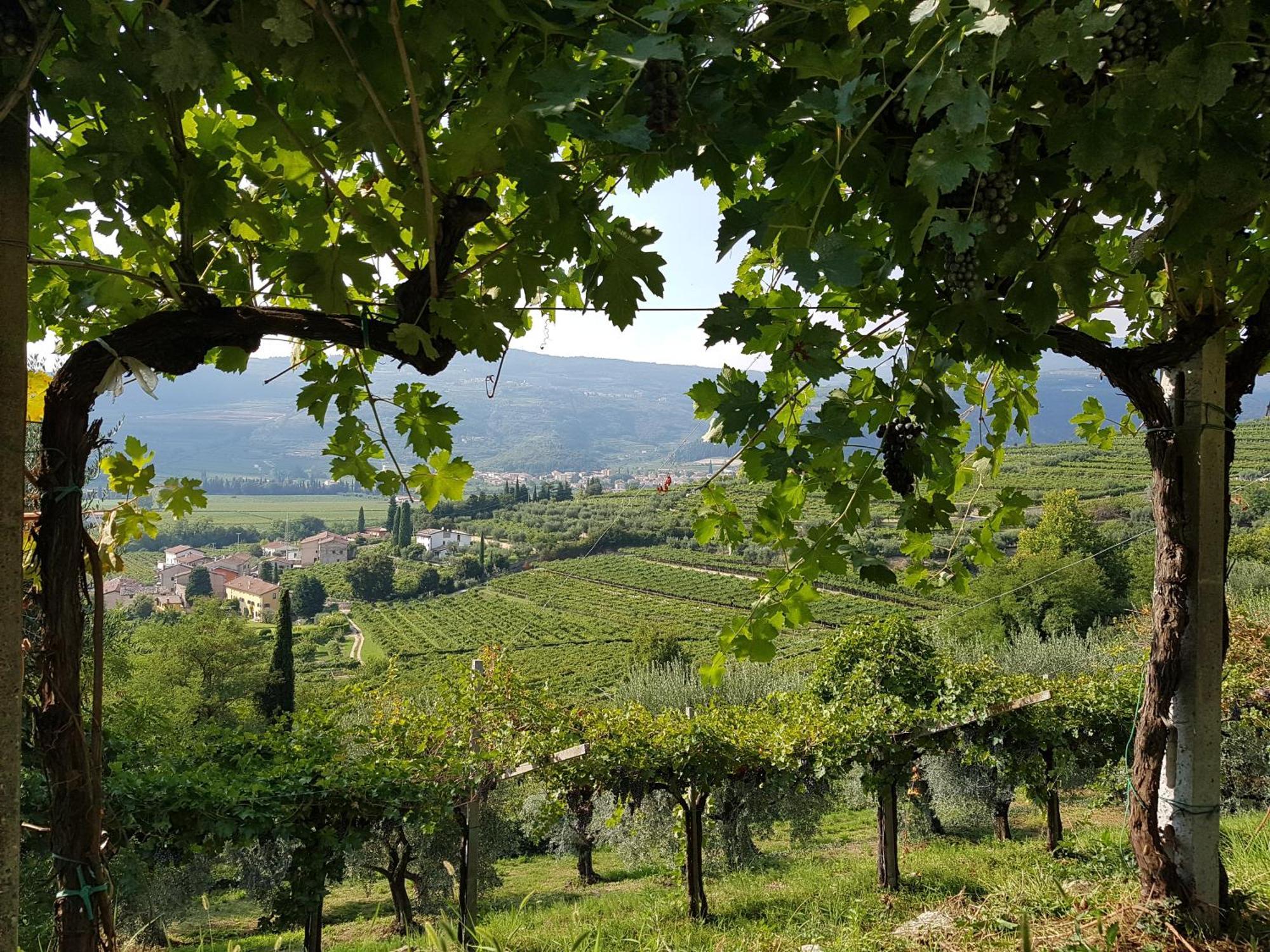 Agriturismo Valentina Cubi Fumane Exterior foto